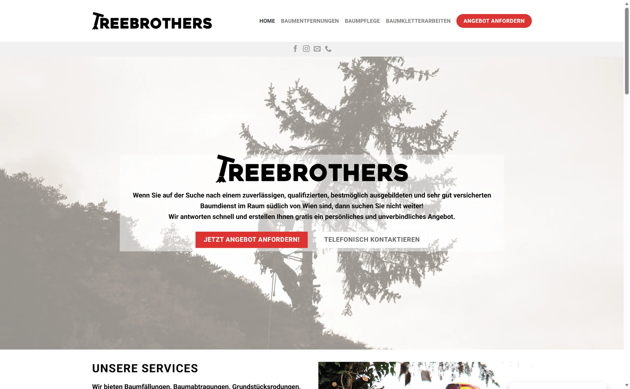 Treebrothers – WordPress Projekt von creatingfaces Wien
